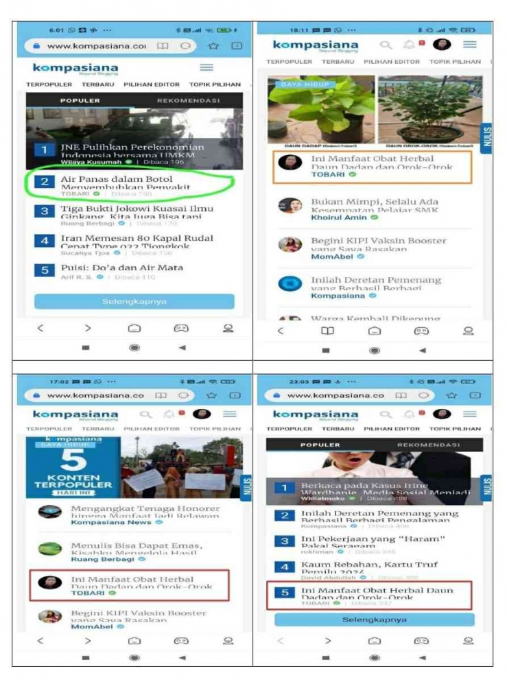 Tulisan TERPOPULER yang pernah didapat penulis (Dokpri)