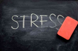https://www.parapuan.co/read/533229483/april-diperingati-sebagai-stress-awareness-month-berikut-4-cara-mengelola-stres