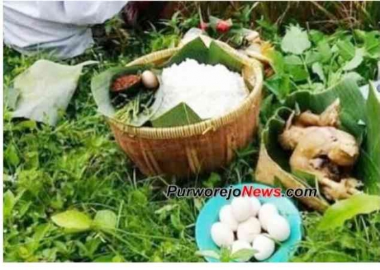 Tradisi wiwitan di Purworejo ( Foto : Purworejo News.com) 