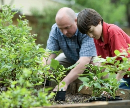 Ilustrasi ayah dan anak yang sedang berkebun di pekarangan. Unsplash.com