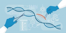 Gambaran Pengeditan DNA menggunakan teknologi CRISPR-Cas9 (sumber: clinicallab.com)