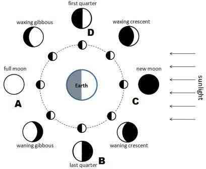 fase-bulan-62b72447bb44863551016e46.jpg