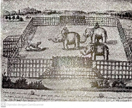 sebuah arena di ayuthayya, seekor harimau bertanding melawan beberapa gajah tahun 1680-an