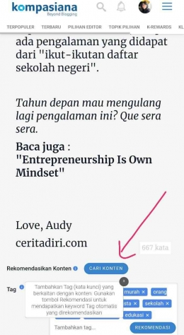 Screen Shot dari Artikel Audy Jo di Kompasiana