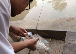 Bahagianya mendapat ikan di menit awal. | Foto: Wahyu Sapta.