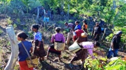 Warga masyarakat Tanah Ai Kab. Sikka sedang membersihkan kebun secara gotong royong. Sumber: cendannews.com