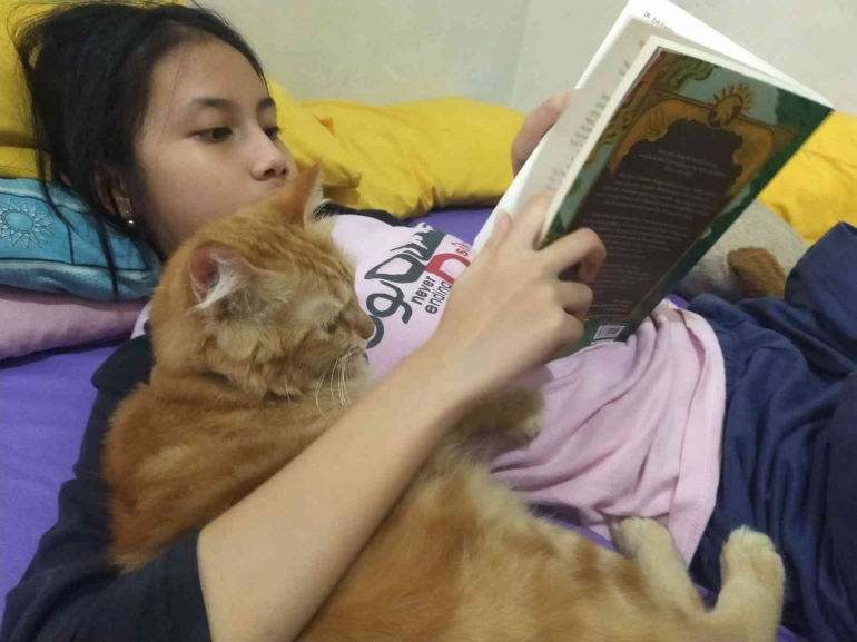 Membaca buku meski sambil main kucing (dokpri)