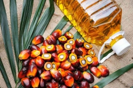 Ilustrasi diambil dari : https://www.kickrate.com//broker/buy-crude-palm-oil-cpo-from-indonesia/