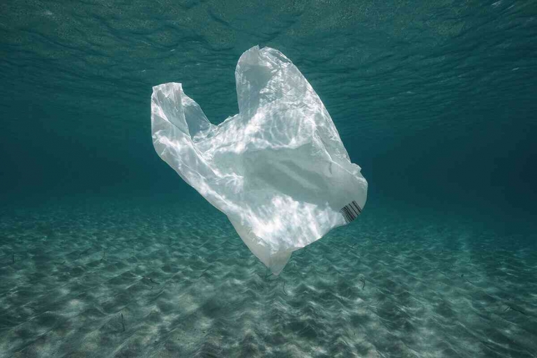 Sampah Plastik di Laut (Sumber: dbs.com)