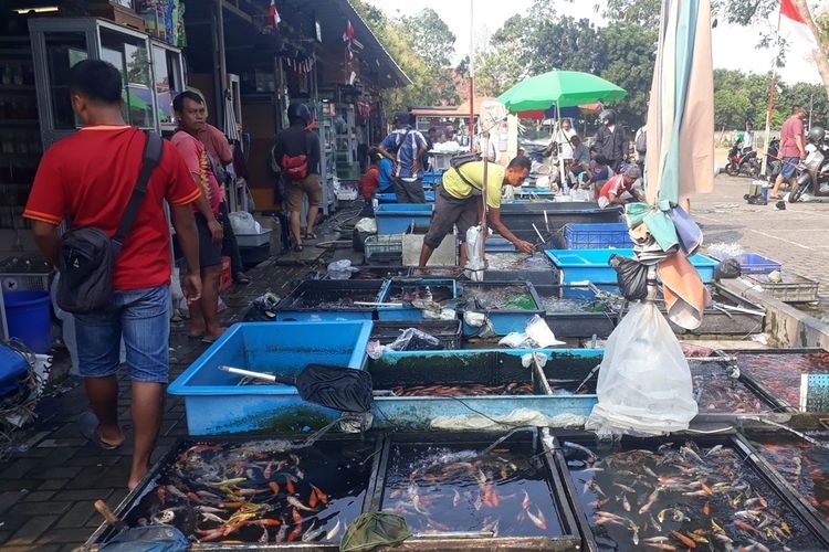Pasar Ikan Jenderal Urip, Jatinegara, Jakarta Timur, Kamis (31/10/2019).(KOMPAS.COM/DEAN PAHREVI)