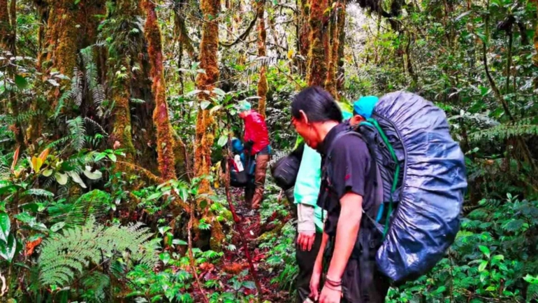 Akhirnya kembali ketemu jalur menuju puncak semu Gunung Tandikat (Dokumentasi Pribadi)