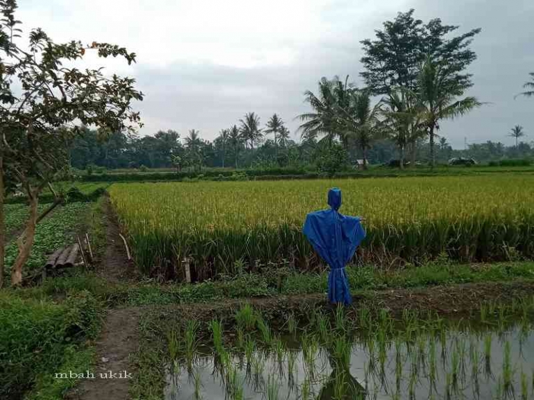 Kyai Putut masa kini. Dokumen pribadi.