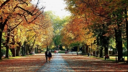 Jalan-jalan di taman menikmati musim gugur| foto: Pixabay/Moritz320