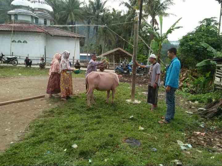 Peusejuk Kerbau, saat acara nangal di Lukup Serbejadi. Dok Uband