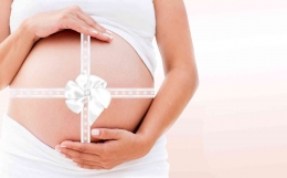 Kesehatan Selama Kehamilan Wajib Dijaga | Pixabay.com 