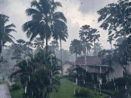 Hujan di Kalibaru Cottages, Banyuwangi. Dok. penulis