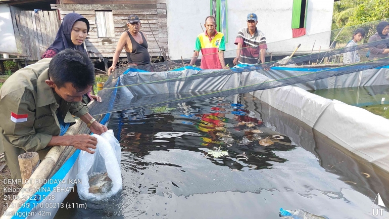 Kolam ikan Media terpal yang sudah jadi dan diisi dengan ikan nila. (Foto : Samad/YP). 