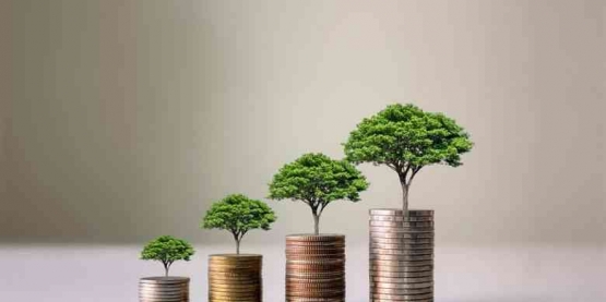 Investasi hijau dapat diangkat oleh Indonesia pada momen presidensi G20 untuk terobosan pemulihan ekonomi global (Shutterstock via Kompas.com)