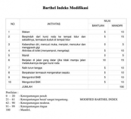Indeks Barthel Modifikasi (Dokumentasi pribadi)