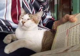 Sungguh terharu ... Saat aku membaca Al-Qur'an ditemani kucing kesayangan di Masjid PB. Soedirman Jakarta. Dokumen pribadi. Kisahnya ada di sini.