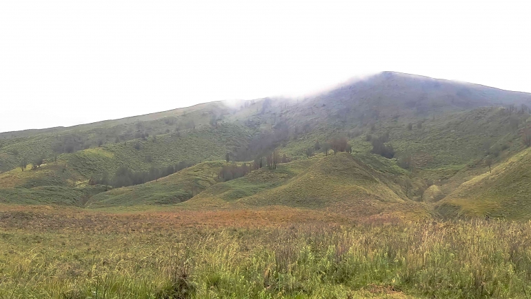 Panorama alam di sekitar area Gunung Bromo (Credit : dokumentasi pribadi)