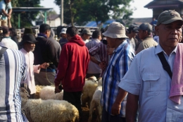 Beberapa Warga melihat-lihat Hewan Kurban yang dijajalkan pedagang di Pasar Hewan Jonggol, Kabupaten Bogor, Jawa Barat, Kamis (7/7).