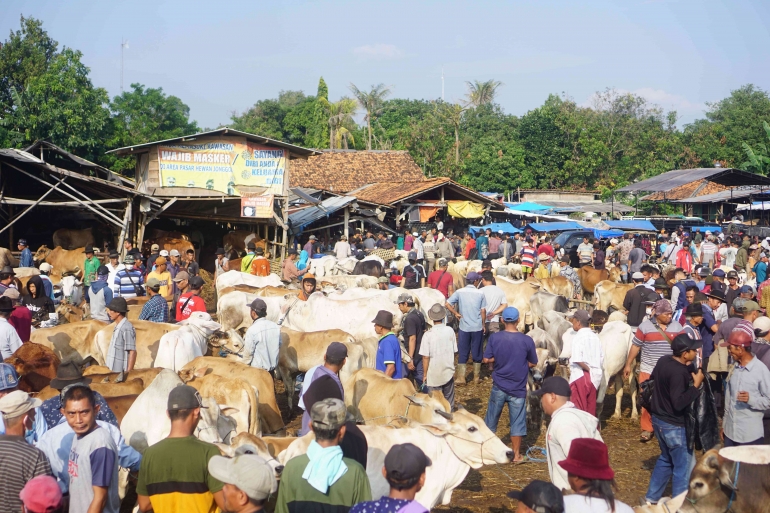 Suasana jual beli hewan kurban di Pasar Hewan Jonggol, Kabupaten Bogor, Jawa Barat, Kamis (7/7). 