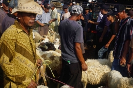 Sejumlah pedagang menjajakan hewan kurban di Pasar Hewan Jonggol , Kabupaten Bogor, Jawa Barat, Kamis (7/7).