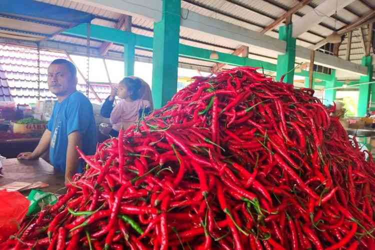 Harga cabai merah di Solok Selatan (Sumbar) terpantau menyentuh harga tertinggi di pasar Rp 200 ribu per Kg (DOK YOGI via Kompas.com)