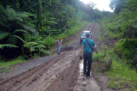 Kondisi akses jalan darat trans Kalimantan yang masih rusak dan terputus-putus (Marahalim Siagian)