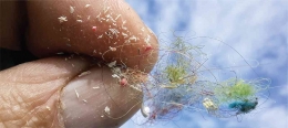 Mikroplastik bahaya laten bagi kesehatan. Photo: Science. 