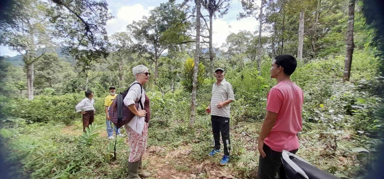 Tanaman Puring digunakan sebagai tanda kepemilikan terhadap pohon durian di Gampong Geuntet, Kecamatan Lhoong, Aceh Besar. Dok pribadi