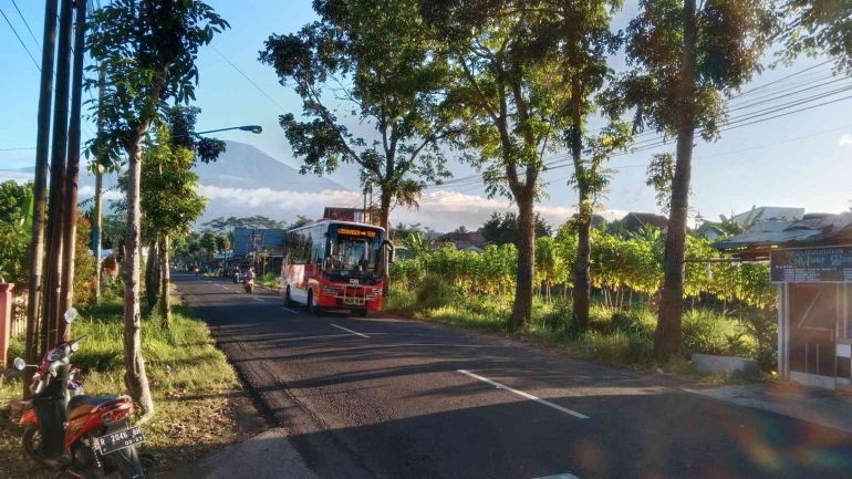Bus Trans Banyumas melaju dari arah Lokawisata Baturraden dengan latar Gunung Slamet. - Dokumentasi Pribadi