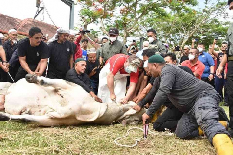 Sultan Kelantan Sultan Muhammad V turut menyembelih hewan kurban, sumber: Facebook Urus Setia Penerangan Dan Komunikasi Kerajaan Negeri Kelantan