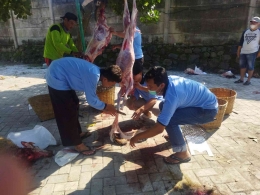 Anggota Laki-laki KKN UIN Walisongo Kelompok 21 sedang membantu proses menguliti daging kurban
