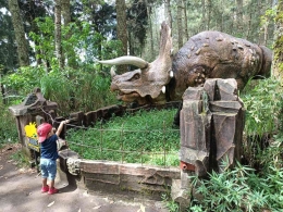 Jenis Dinosaurus di objek wisata Dinosaurus Park Mojosemi Magetan Jawa Timur/photo by : Dokpri