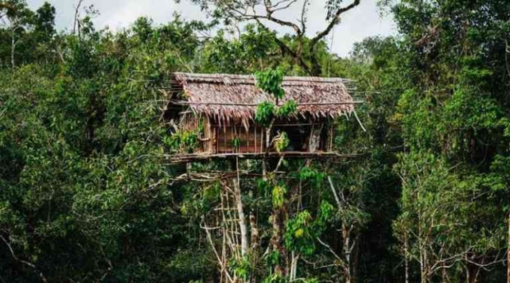  Rumah adat unik lainnya berasal dari suku Korowai,Papua Indonesia. FOTO : westpapuadiary.