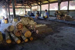 Proses perebusan air asin menjadi garam mengkonsumsi kayu bakar yang cukup besar (Marahalim Siagian)