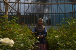 Greenhouse Bunga Mawar Ponpes Darul Inayah Desa Kertawangi (Foto: Kominfo Kelompok 59)