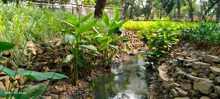 Pembersihan sampah putih dari jalur air/dok pribadi