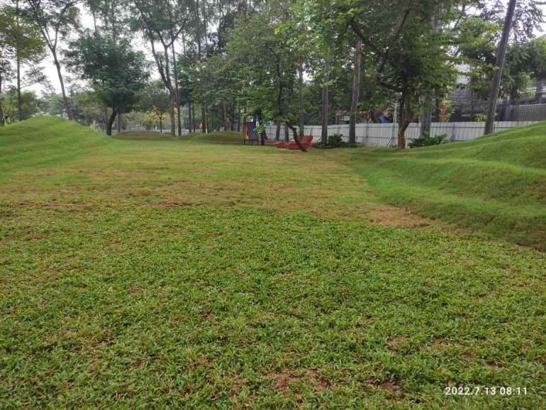 Pembersihan sampah putih dari jalur air/dok pribadi