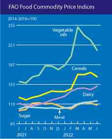 Index harga bahan pangan dari 2021 hingga 2022 (Sumber: FAO)