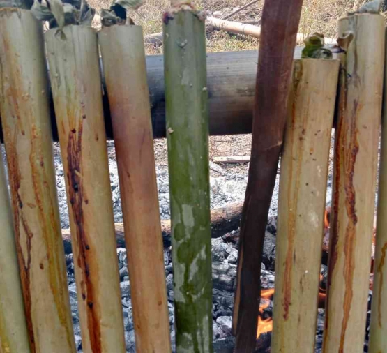 Memasak kidu-kidu dengan ruas bambu seperti memasak lemang (Dok. Pribadi)