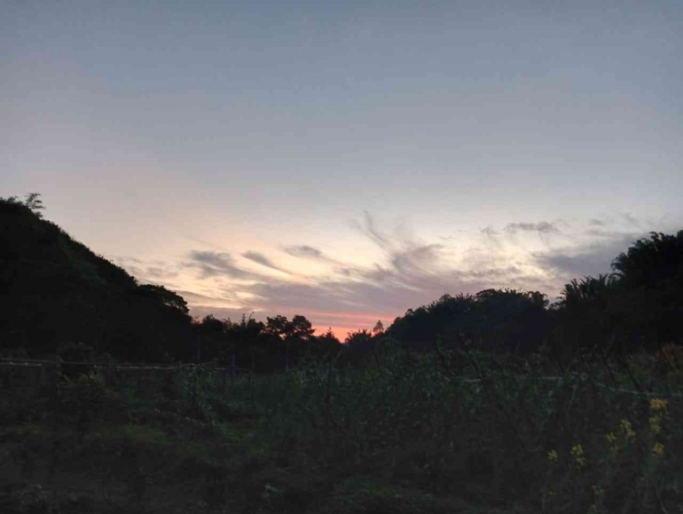 Suasana senja hari di sekitar persawahan desa kami (Dok. Pribadi) 