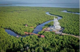 Wisata mangrove langsa dilihat dari atas (Foto : Kemenparekraf)