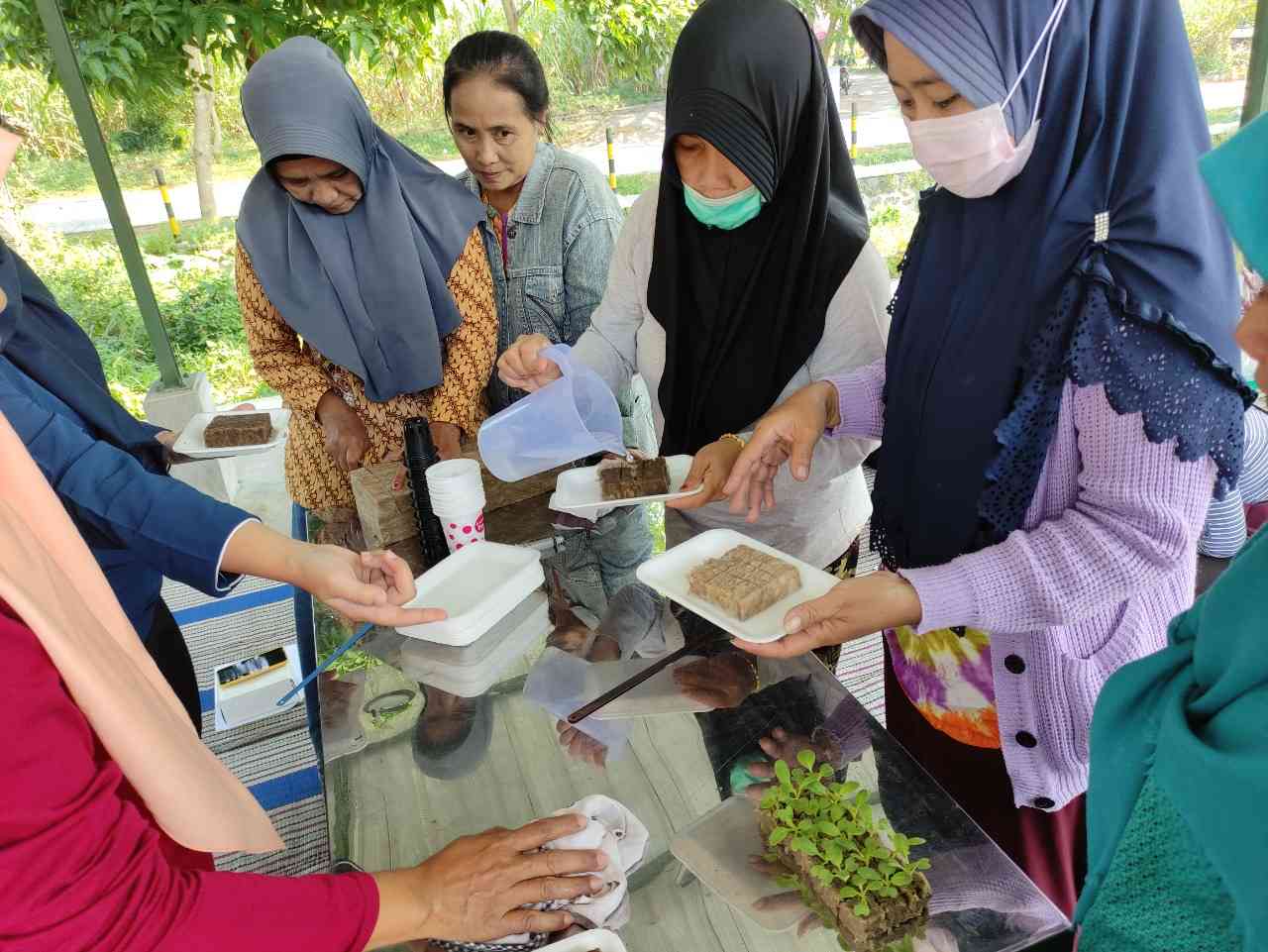 Pelatihan Pertanian Hidroponik, Upaya Peningkatan Kapasitas Wanita Tani ...