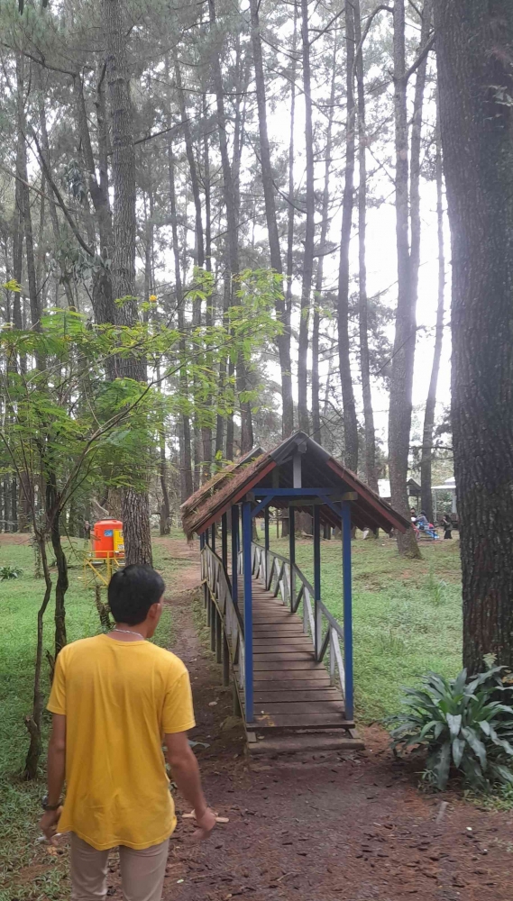 Kondisi alam di dalam Pinus Ecopark Sumber Jaya, Lampung Barat. Foto pribadi