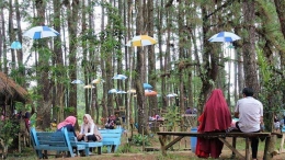 Aneka payung gantung di dalam Pinus Ecopark yang telah tiada saat kami berkunjung, 13 Juli 2022. Foto detiknegri.my.id/2021