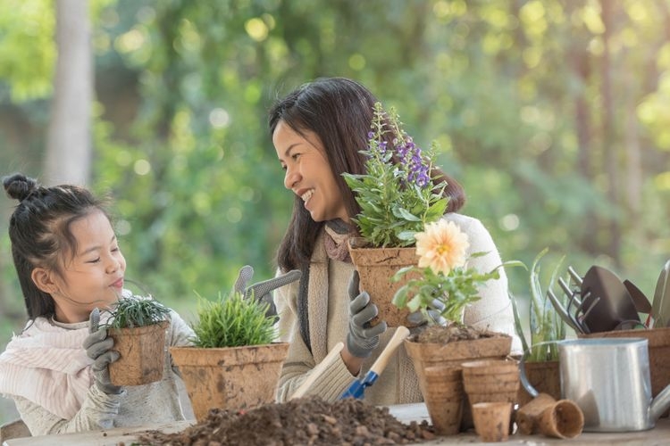 Ruang Publik Hijau bisa menjadi sarana mengenal dan mengajarkan jenis-jenis tanaman pada anak. Sumber: Shutterstock via Kompas.com