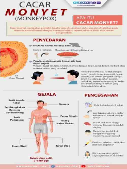 Informasi tentang cacar monyet (sumber foto: health.okezone.com)